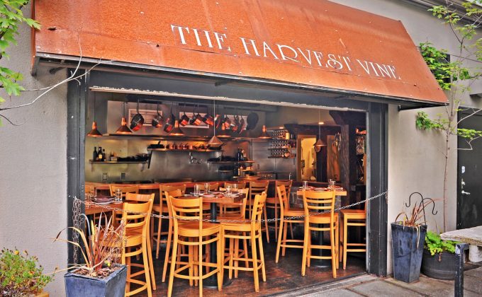 Harvest Vine thumbnail